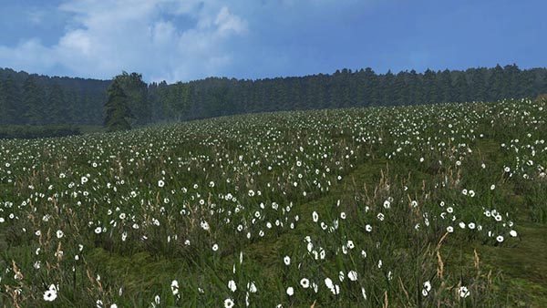 Grass texture v 1.0 [SP] 2