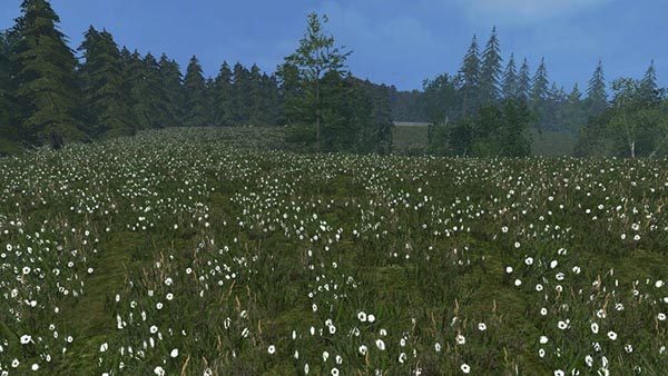 Grass texture v 1.0 [SP]