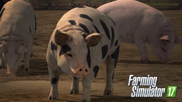 Farming Simulator 17 introduce the Animals! 2