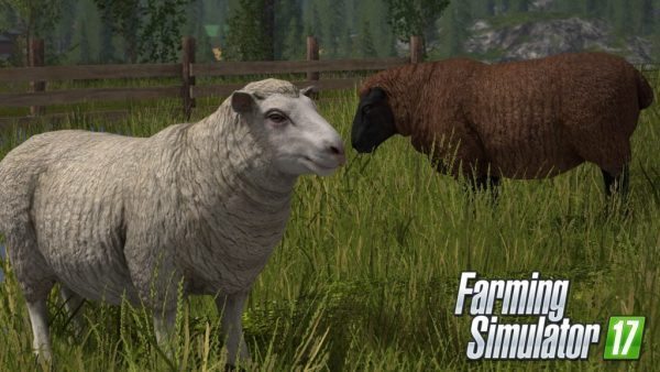 Farming Simulator 17 introduce the Animals! 3