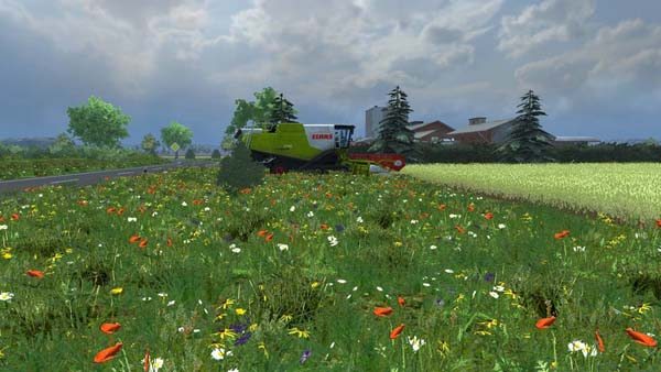 Grass texture summer meadow v 1.0
