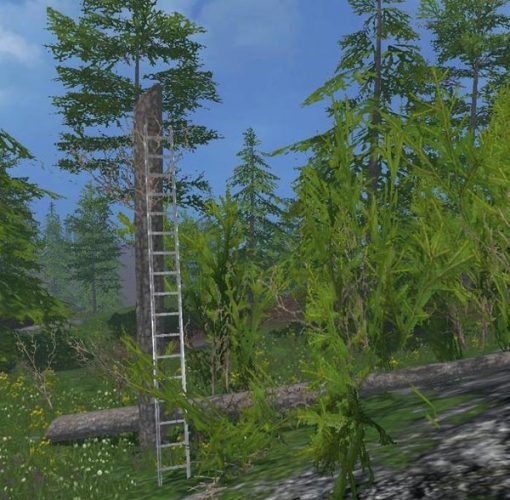 Scaffolding and ladders v 1.0 [MP] 1