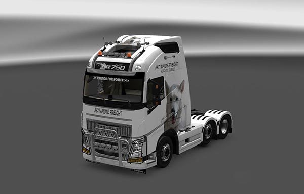 Volvo FH16 2003 Storm the Dog Skin